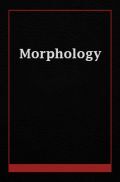 Morphology  Morphology