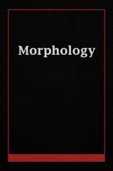 Morphology  Morphology