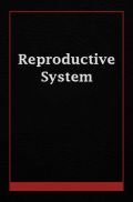 Reproductive System Reproductive System