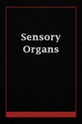 sensory Organs  sensory Organs