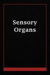 sensory Organs  sensory Organs