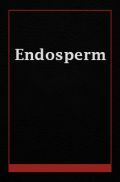 Endosperm Endosperm