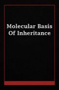 Molecular Basis Of Inheritance Molecular Basis Of Inheritance