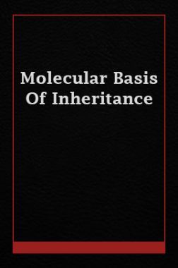 Molecular Basis Of Inheritance Molecular Basis Of Inheritance