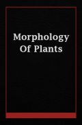 Morphology Of Plants Morphology Of Plants