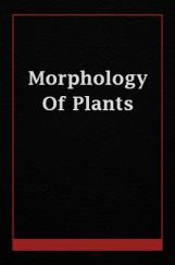 Morphology Of Plants Morphology Of Plants