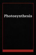 Photosynthesis  Photosynthesis