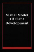 Visual Model Of Plant Development  Visual Model Of Plant Development