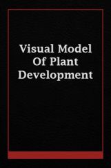 Visual Model Of Plant Development  Visual Model Of Plant Development