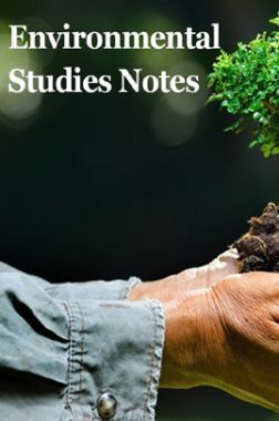assignment environmental studies
