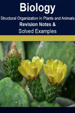 Download Biology Structural Organization In Plants And Animals Revision Notes & Solved Examples by Panel Of Experts PDF Online Download Biology Structural Organization In Plants And Animals Revision Notes & Solved Examples by Panel Of Experts PDF Online