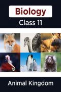 Biology-Animal Kingdom  Class11 Biology-Animal Kingdom  Class11