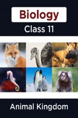Biology-Animal Kingdom  Class11 Biology-Animal Kingdom  Class11