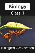 Biology-Biological Classification Class 11  Biology-Biological Classification Class 11