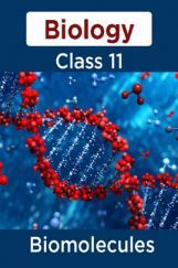 Biology-Biomolecules Class11 Biology-Biomolecules Class11