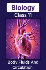 Biology-Body Fluids And Circulation  Class11 Biology-Body Fluids And Circulation  Class11