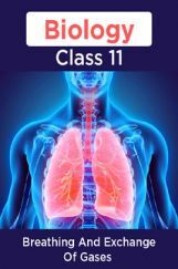Biology-Breathing And Exchange Of Gases Class11 Biology-Breathing And Exchange Of Gases Class11