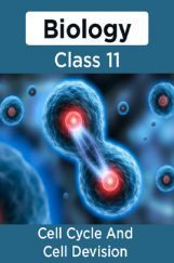 Biology-Cell Cycle And Cell Devision Class11 Biology-Cell Cycle And Cell Devision Class11