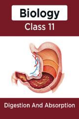 Biology-Digestion And Absorption Class11 Biology-Digestion And Absorption Class11