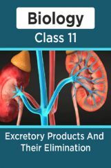 Biology-Excretory Products And Their Elimination Class11 Biology-Excretory Products And Their Elimination Class11