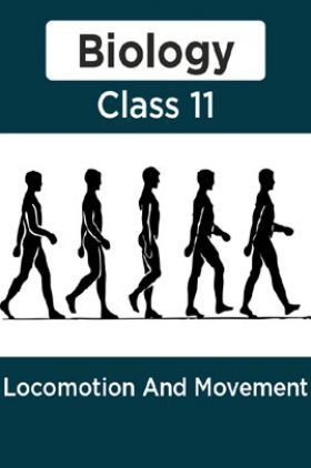 Biology-Locomotion And Movement Class11