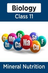 Biology-Mineral Nutrition Class11 Biology-Mineral Nutrition Class11