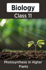 Biology-Photosymthesis In Higher Plants Class11 Biology-Photosymthesis In Higher Plants Class11