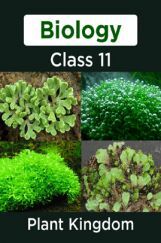 Biology-Plant Kingdom Class11 Biology-Plant Kingdom Class11
