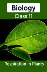 Biology-Respiration In Plants Class11 Biology-Respiration In Plants Class11