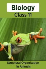 Biology-Structural Organisation In Animals Class11 Biology-Structural Organisation In Animals Class11