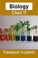 Biology-Transport In Plants Class11 Biology-Transport In Plants Class11