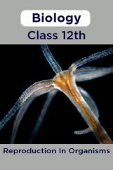 Biology-Reproduction In Organisms Class 12th Biology-Reproduction In Organisms Class 12th