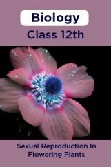 Biology-Sexual Reproduction In Flowering Plants Class 12th Biology-Sexual Reproduction In Flowering Plants Class 12th