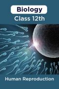 Biology-Human Reproduction Class 12th Biology-Human Reproduction Class 12th