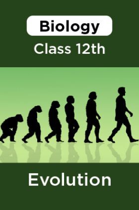 Biology-Evolution Class 12th