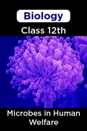 Biology-Microbes in Human Welfare Class 12th