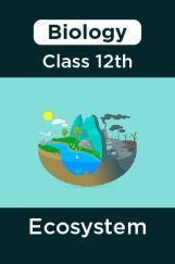 Biology-Ecosystem Class 12th Biology-Ecosystem Class 12th