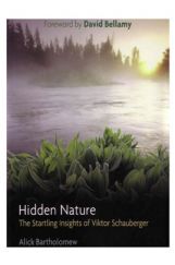 Hidden Nature Hidden Nature