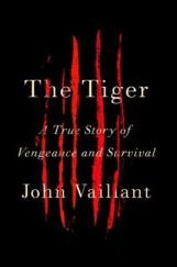 The Tiger A True Story Of Vengeance And Surviva The Tiger A True Story Of Vengeance And Surviva