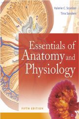 Essentials Of Anatomy And Physiology Essentials Of Anatomy And Physiology