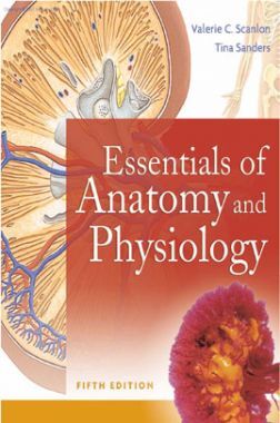 Essentials Of Anatomy And Physiology