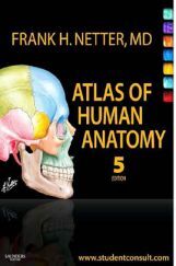 Atlas Of Human Anatomy Atlas Of Human Anatomy