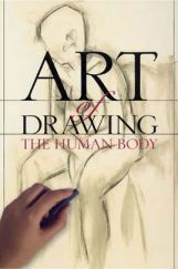 Small Size Drawing The Human Body Small Size Drawing The Human Body