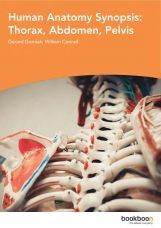 Human Anatomy Synopsis Thorax Abdomen Pelvis Human Anatomy Synopsis Thorax Abdomen Pelvis