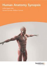 Humane Anatomy Synopsis  Humane Anatomy Synopsis