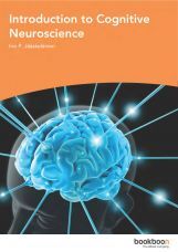 Introduction To Cognitive Neuroscience Introduction To Cognitive Neuroscience