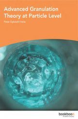 Advanced Granulation Theory At Particle Level Advanced Granulation Theory At Particle Level