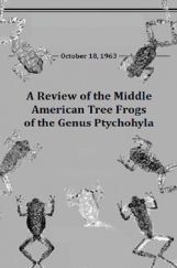 A Review Of The Middle American Tree Frogs Of The Genus Ptychohyla A Review Of The Middle American Tree Frogs Of The Genus Ptychohyla