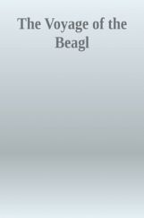 The Voyage Of The Beagle The Voyage Of The Beagle