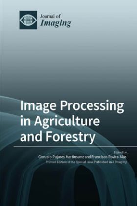 Image Processing In Agriculture And Forestry